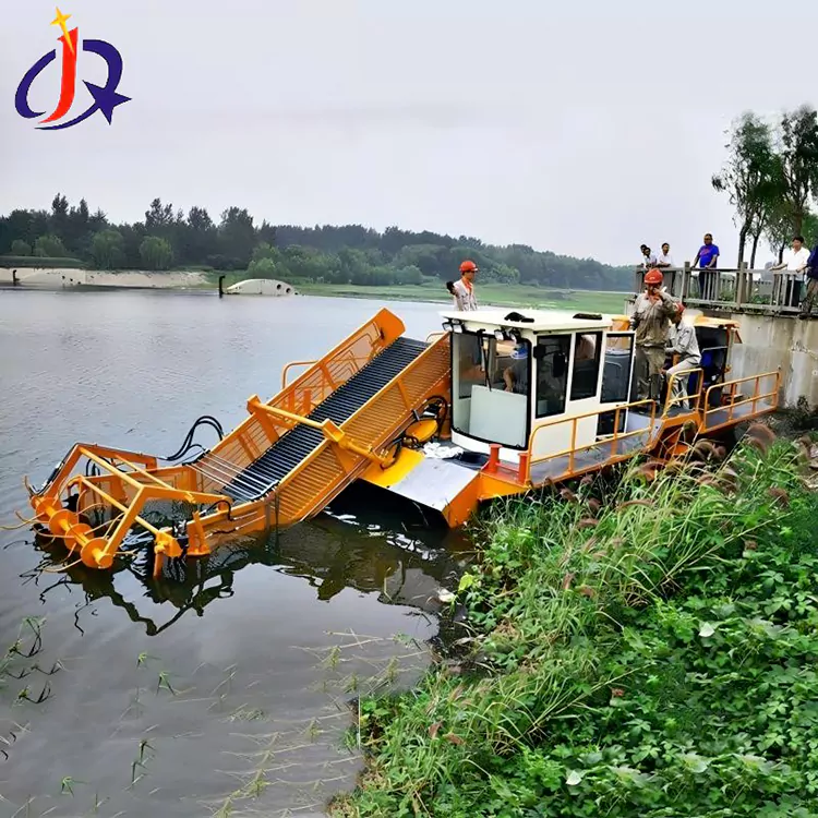 Boato de Tranĉilo de Hiacinto Kaj Anasidoj